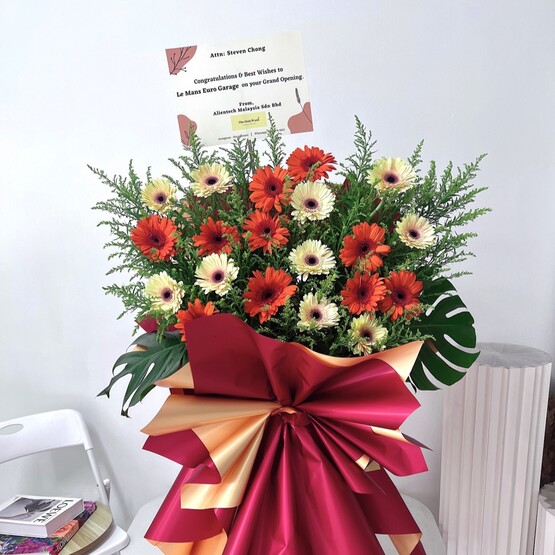 Gerbera opening flower stand 01