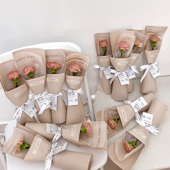 Single stalk carnation