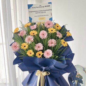 Gerbera opening flower stand 02