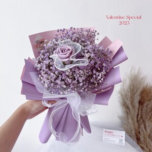 Only One - VSpecial2023