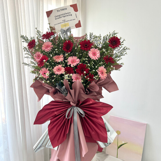 Gerbera opening flower stand 06