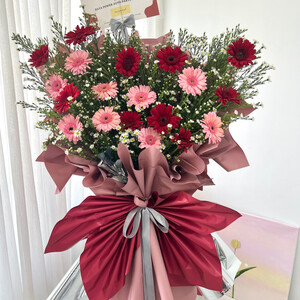 Gerbera opening flower stand 06